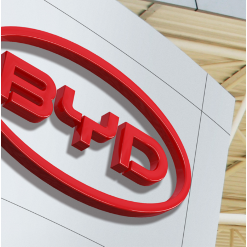 BYD 2025 Dolphin 520km Knight Edition EV